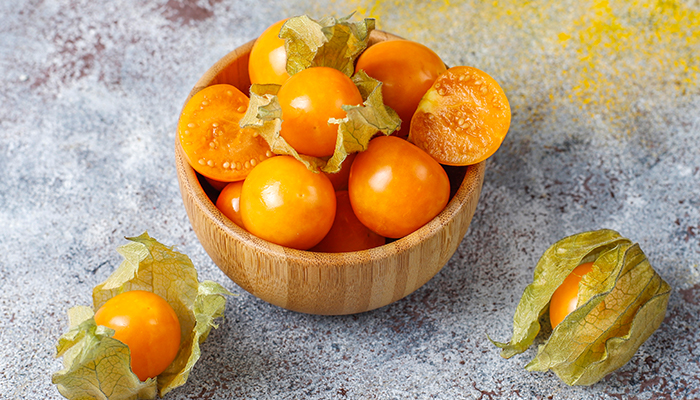 Gambar Buah Ciplukan Yang Banyak Manfaat Bagi Kesehatan