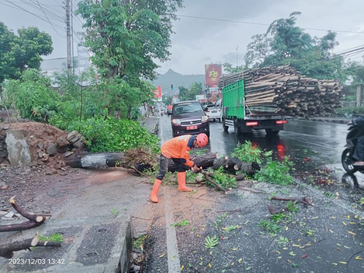 Foto: Anggota BPBD Wonogiri memotong pohon yang tumbang di Jalan Diponegoro No.78, Lingkungan Pokoh RT 01 RW 03 Kelurahan Wonoboyo Kecamatan Wonogiri Kota Minggu (3/12).