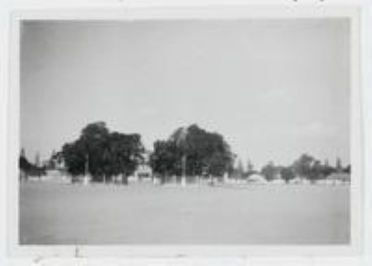 Potret Alun-Alun Keraton Kasunanan Surakarta tempo dulu yang dipublikasikan sekitar tahun 1927 sampai 1937