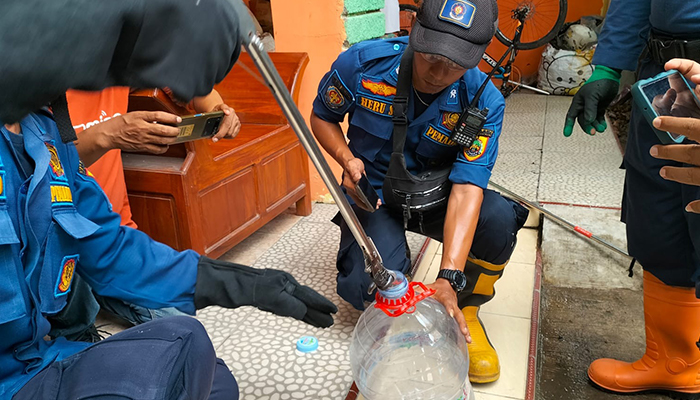 WASPADA: Anak kobra dimasukkan ke galon setelah ditangkap dari rumah warga di Sragen, kemarin.