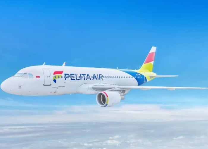 Ilustrasi pesawat Pelita Air.
