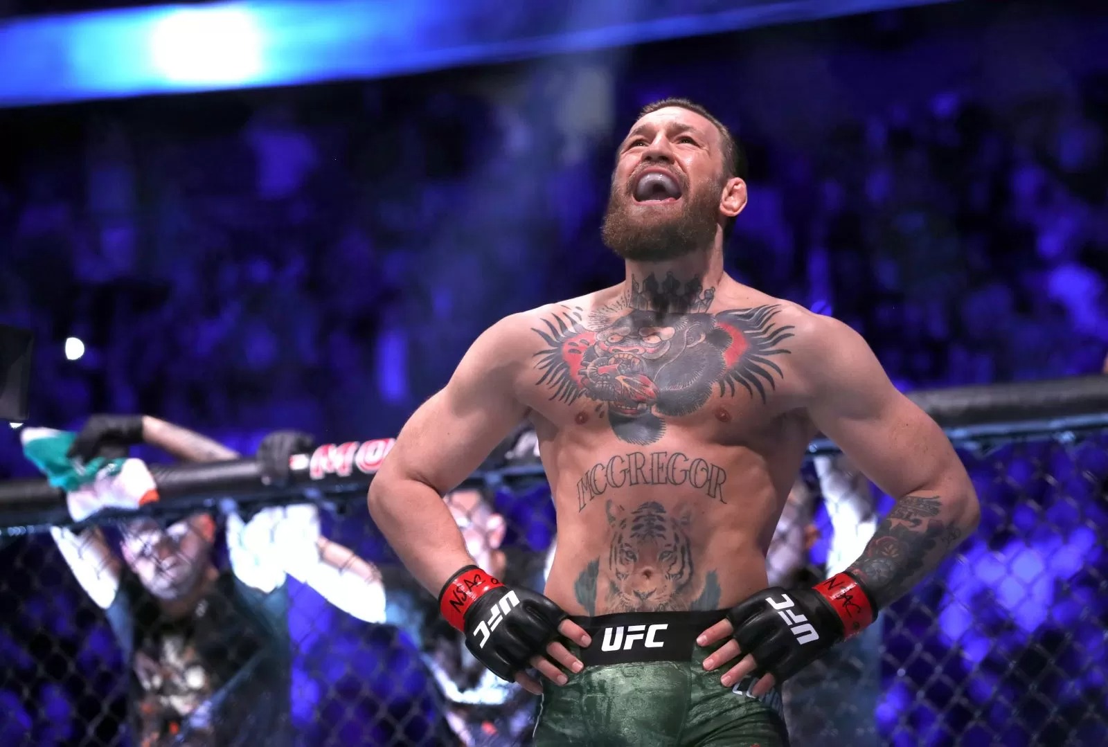Petarung UFC yang juga merupakan rival Khabib Nurmagomedov, Conor McGregor
