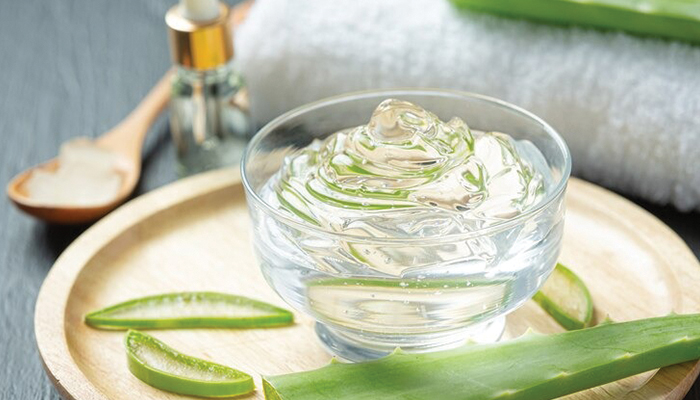 Ilustrasi Pemanfaatan Aloe Vera Untuk Merawat Kulit