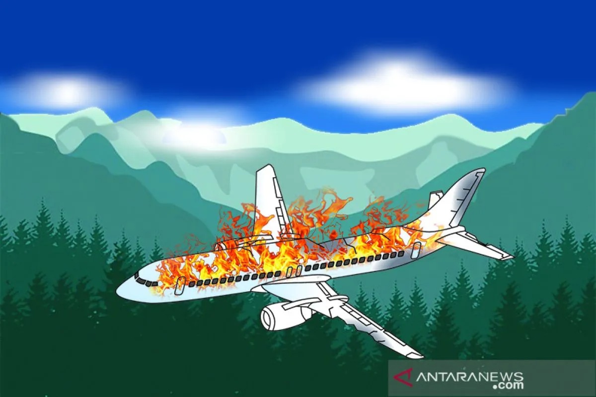 Ilustrasi pesawat terbakar  ( ANTARA/Ardika/am.)