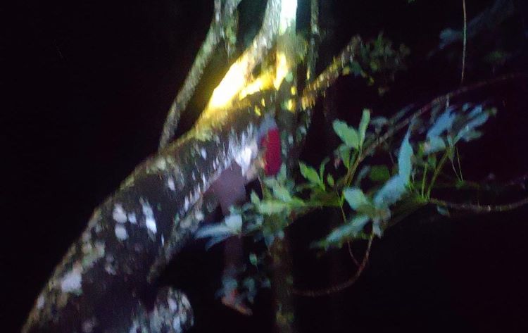 Seorang warga Ngargoyo ditemukan meninggal dunia di atas pohon (DOK.RELAWAN)