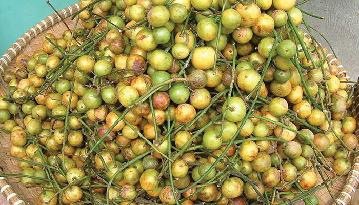Gambar Buah Menteng