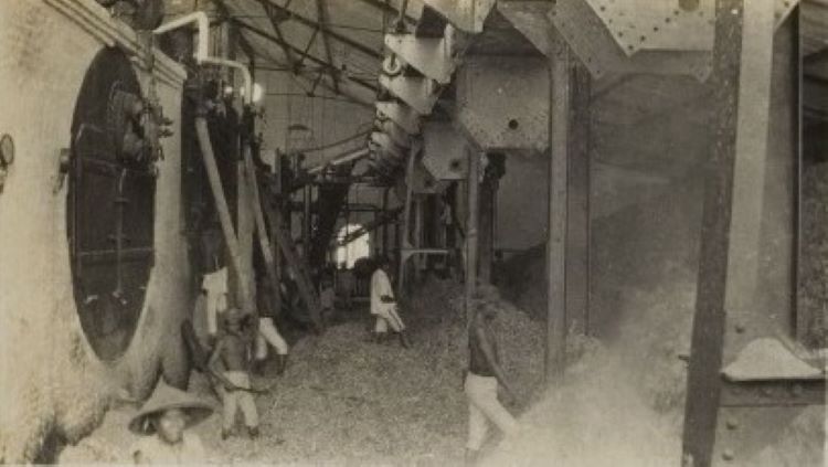 Tampak Dalam Produksi Gula di Pabrik Gula Tasikmadu tempo dulu (DOK KITLV/1925)