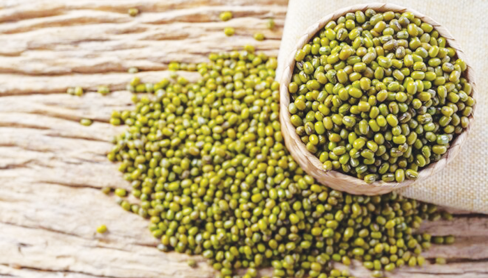 Ilustrasi Kacang Hijau yang Akan Diolah Menjadi Bubur Kacang Hijau