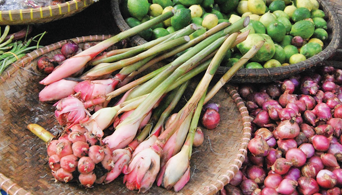 Bunga kecombrang yang kaya akan manfaat