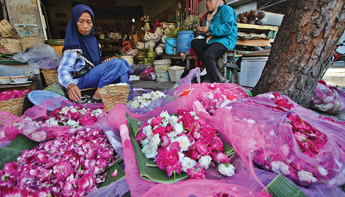 Kembang Setaman yang Dijual di Pasar Kembang Solo.