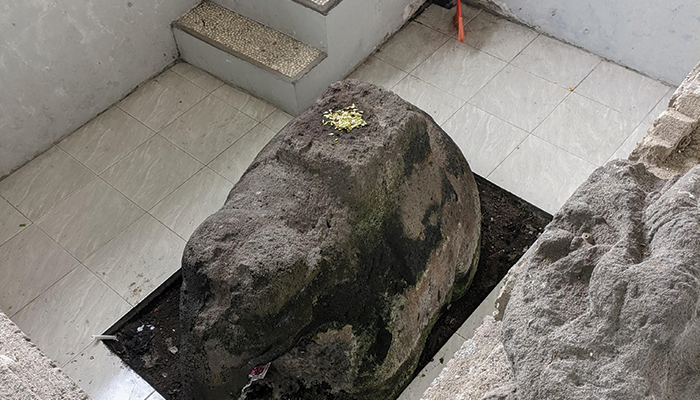 Patung Gajah Putih untuk Melakukan Tradisi Caos Dhahar.