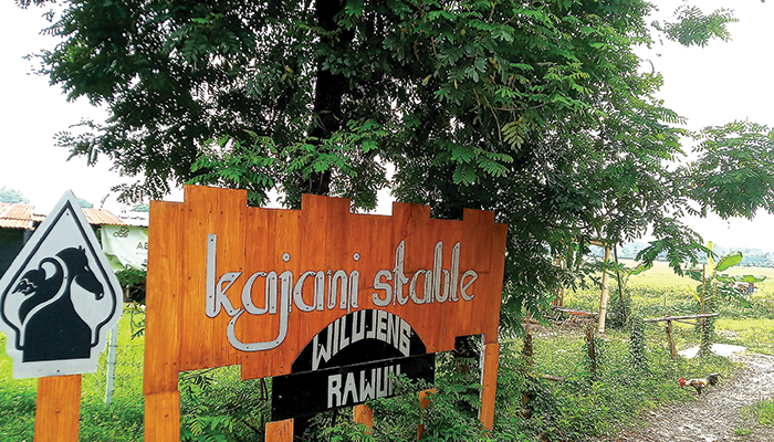 Kajani Stable Sensasi Olahraga Berkuda Yang Memacu Adrenalin.