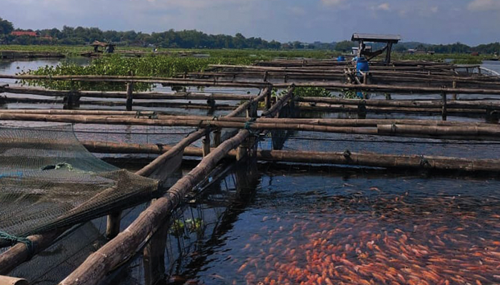 Pesona Keramba Waduk Cengklik  di Solo Raya.