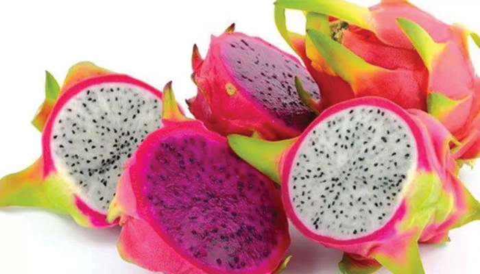 Buah Tinggi Serat.
