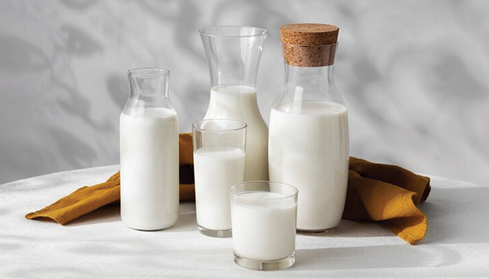 Ilustrasi Susu yang kerap diminum saat sahur.