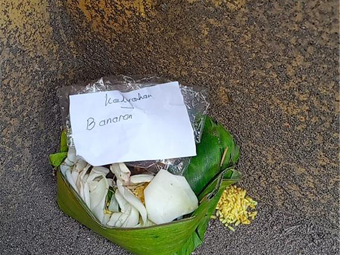 Bunga kantil yang diduga menyimpan misteri dan digunakan dalam berpolitik pada Pemilu 2024 lalu. (AHMAD KHAIRUDIN/ RADAR SOLO)