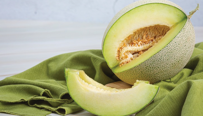 Ilustrasi Buah Melon yang Rendah Kalori Untuk Tubuh.