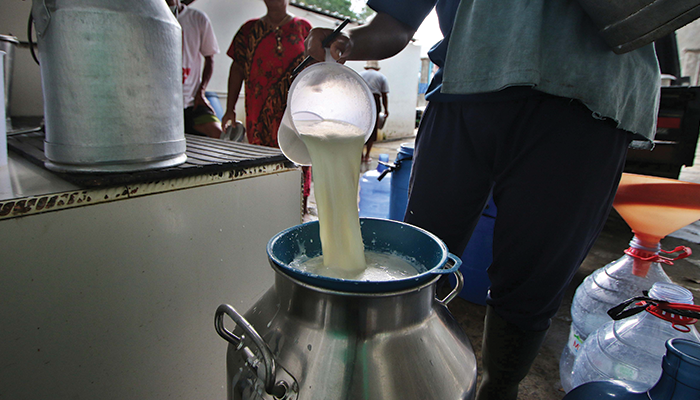 POTENSI BISNIS: Harga susu produksi peternak di Boyolali bisa dijual seharga Rp 7.000 per liter.
