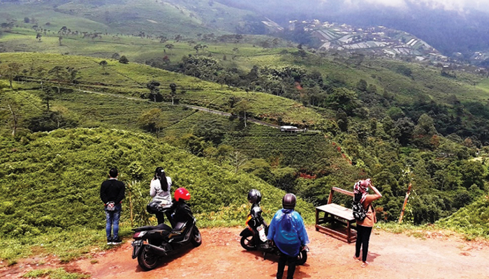 WARISAN NENEK MOYANG: Wisatawan menikmati pesona alam kebun teh Kemuning dari salah satu bukit di Ngargoyoso.