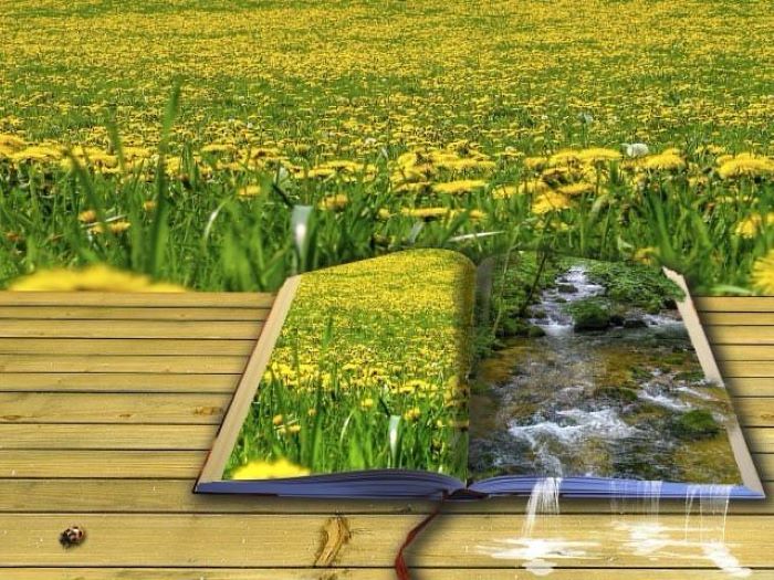 Ilustrasi buku yang berisi tentang pesan kehidupan. (FREEPIK)