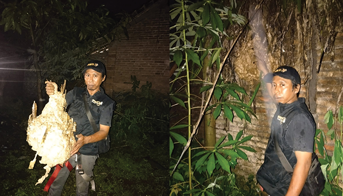 Sarang tawon yang berada di lokasi kejadian telah dieksekusi oleh relawan untuk dimusnahkan pada Jumat (26/4).