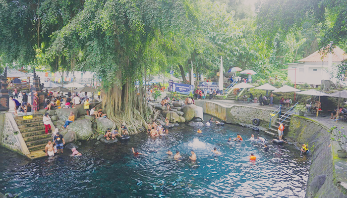 Wisatawan saat berenang di Umbul Sigedhang, Desa Ponggok, Kecamatan Polanharjo.