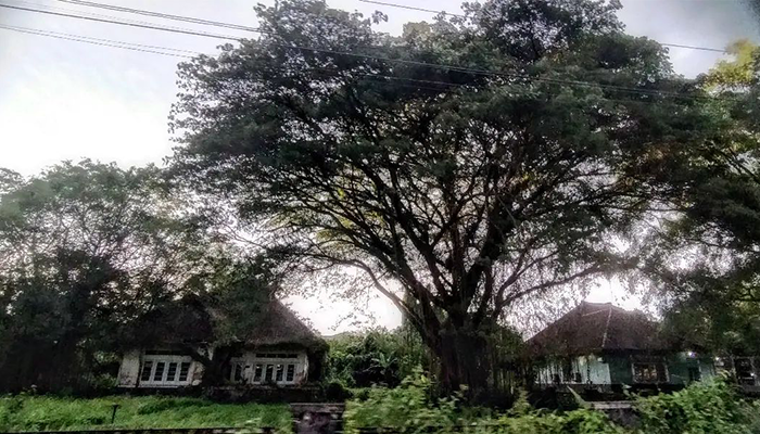 Suasana pabrik karung gono Delanggu saat sore hari