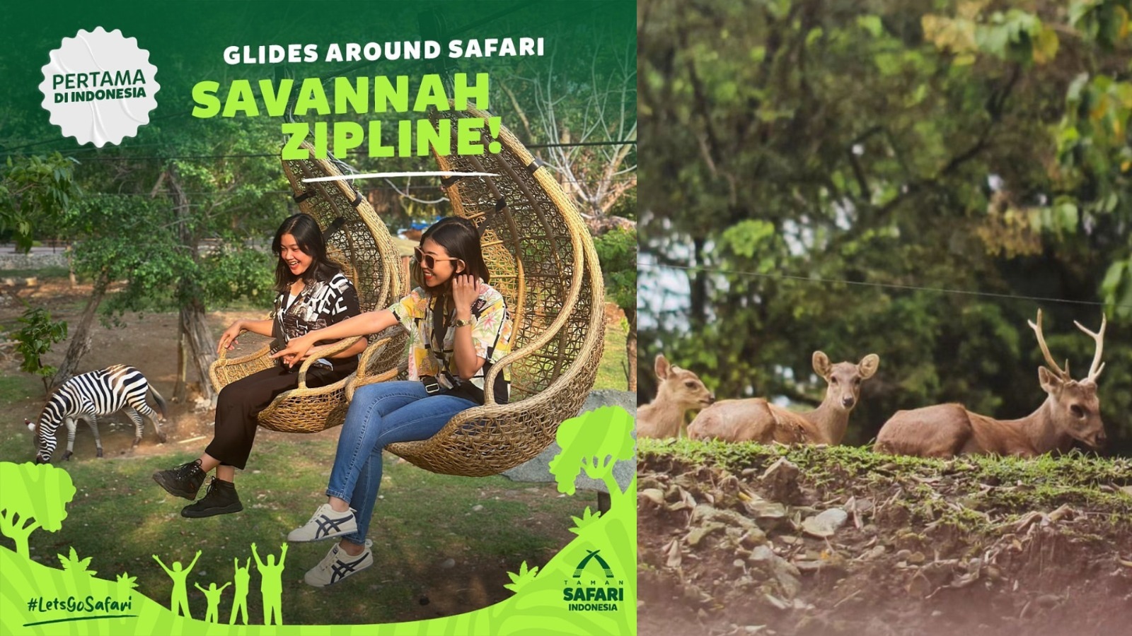 Savannah Zipline, Wahana Kursi Gantung di Solo Safari. (instagram @solosafari.id)