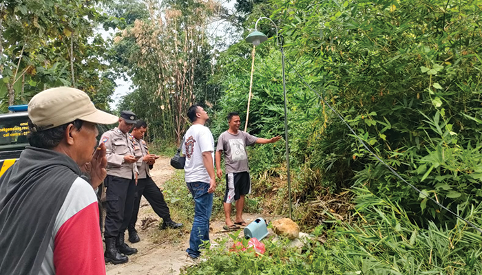 Karyawan Peternak Bebek di Sragen Tewas Kesetrum saat Ngarit.