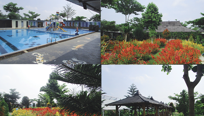 Agrowisata Kembang Desa Dawung menyimpan pesona alam yang cantik.
