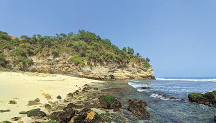 Pantai Pringjono.