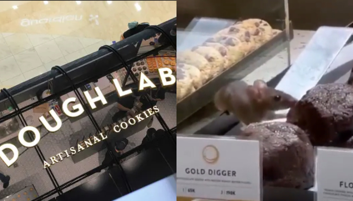 Viral tikus icipi kue di etalase bikin geger pengunjung, gerai Dough Lab PIK Avenue akhirnya pilih tutup.