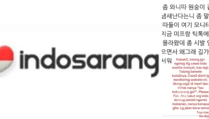 Viral warga Korea beri komentar rasisme terhadap masyarakat Indonesia di aplikasi Indosarang.