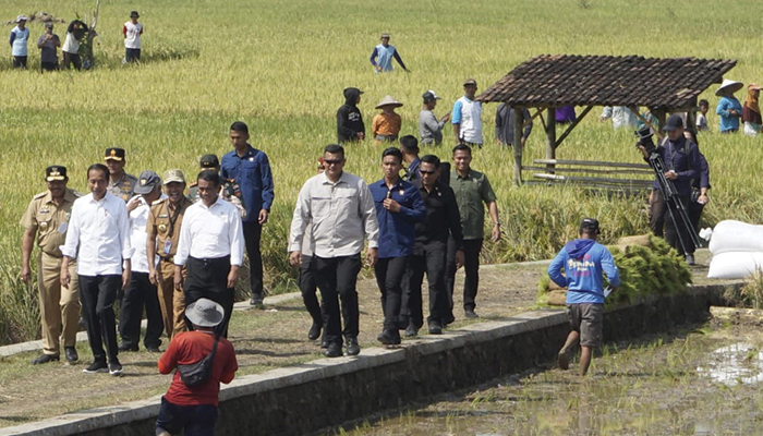 Presiden Joko Widodo saat berkunjung ke Museum Sangiiran.