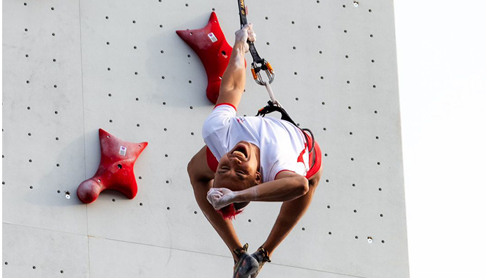 OQS Budapest 2024.