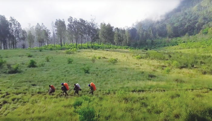 Sabana Gunung Argopuro Via Baderan