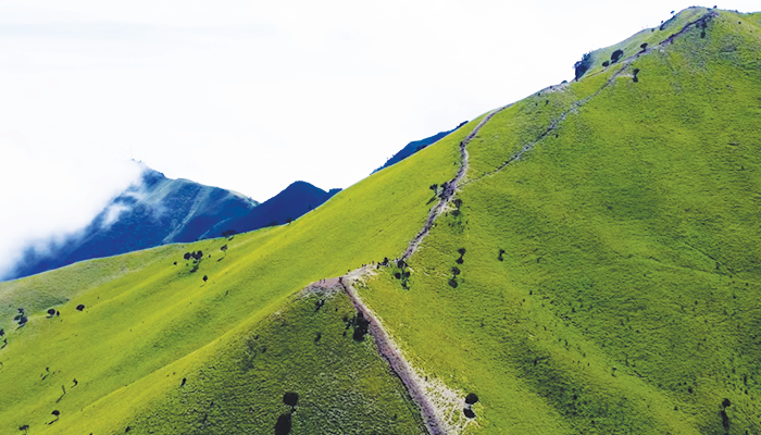 Sabana Gunung Merbabu Via Selo dan Swanting.
