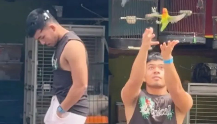 Saaih Halilintar kena hujat usai pamer konten lepaskan burung lovebird di hadapan pedagang.