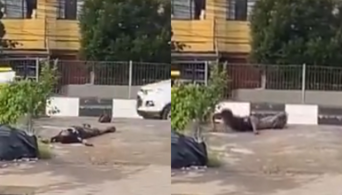 Viral video pria mabuk kecubung di Banjarmasin.
