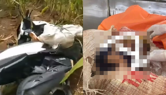 Warga temukan jasad wanita di dalam karung yang berada di kebun jagung.
