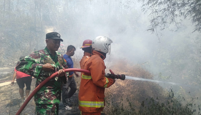 Pemadaman kebakaran di kandang ayam milik warga di Desa Jendi Kecamatan Selogiri Sabtu (31/8/2024).