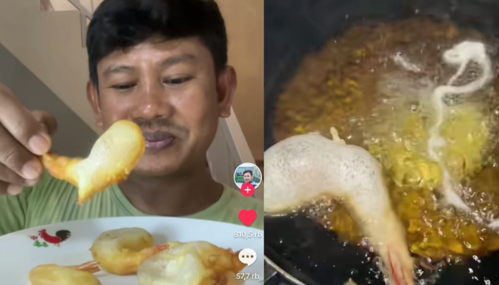 Tiktokers Mursid akhirnya berhasil membuat udang balon yang sedang viral.