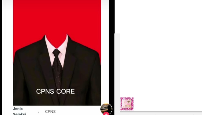 CPNS core 2024.