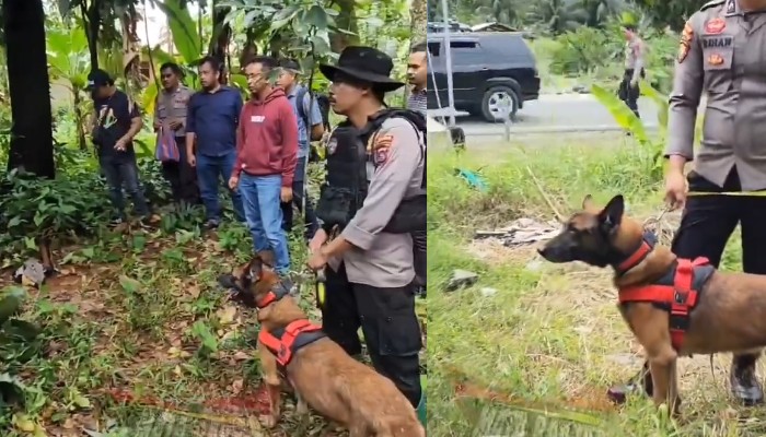 Polisi berhasil temukan jejak terduga pelaku pembunuhan Nia Kurnia Sari.