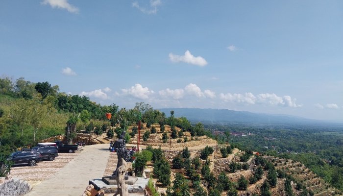 Keindahan bukit Dewa Dewi dengan hamparan kebun alpukat.