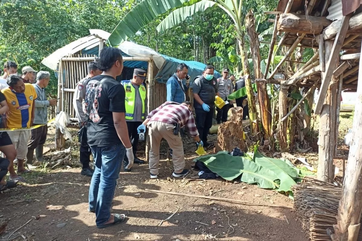 Penemuan mayat setengah telanjang di Kendal.