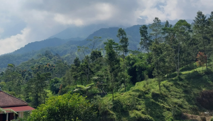 Wisata viral di Bukit Klangon di Jogja.