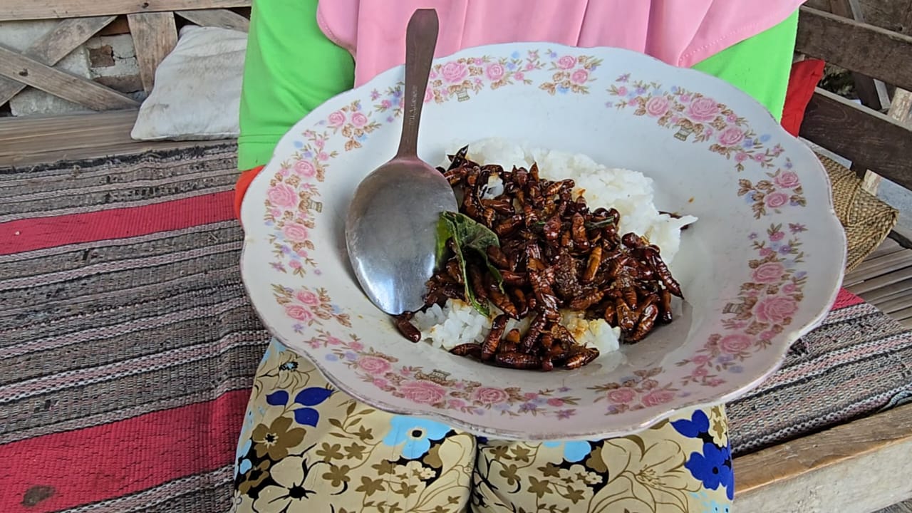 Entung jati menjadi salah satu kuliner ekstrem di Sragen.