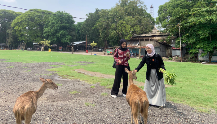 Wisata Taman Sriwedari Solo untuk menikmati Libur Natal dan Tahun Baru 2024.