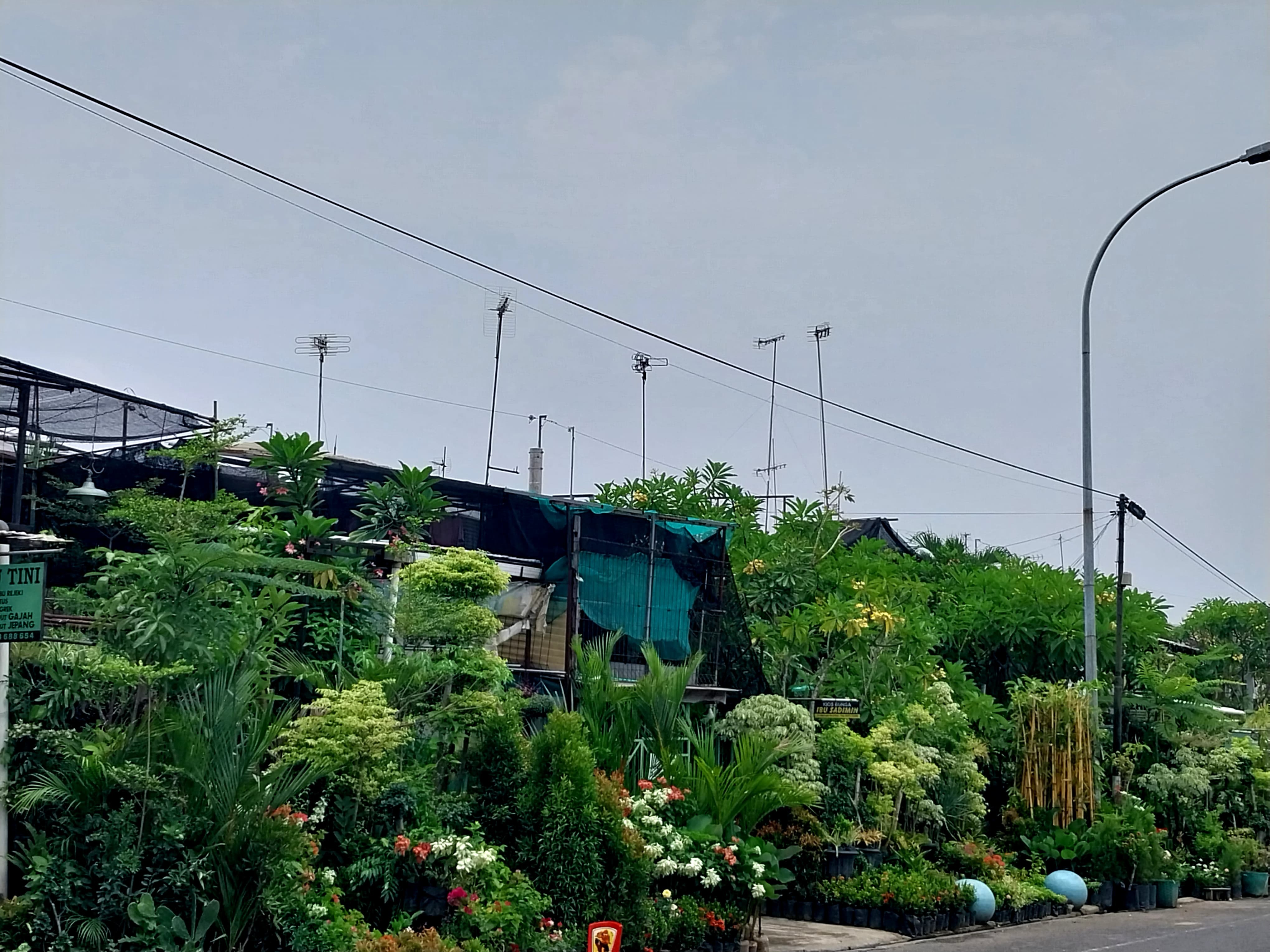 Pasar Nongko di Kota Solo.